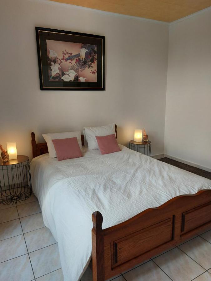 Appartement Rdc Plein Centre Avec Terrasse Vise Luaran gambar