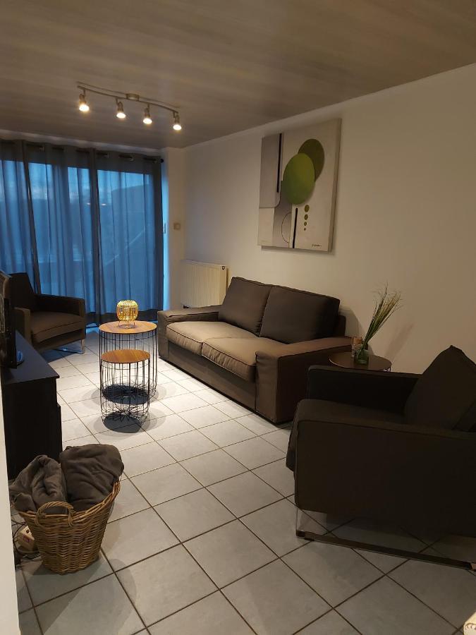 Appartement Rdc Plein Centre Avec Terrasse Vise Luaran gambar