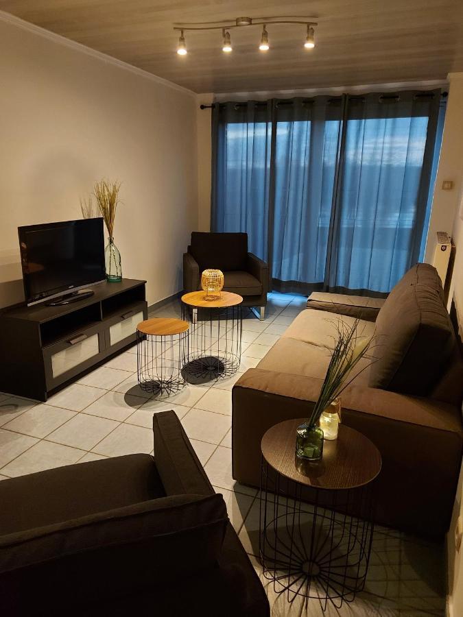 Appartement Rdc Plein Centre Avec Terrasse Vise Luaran gambar