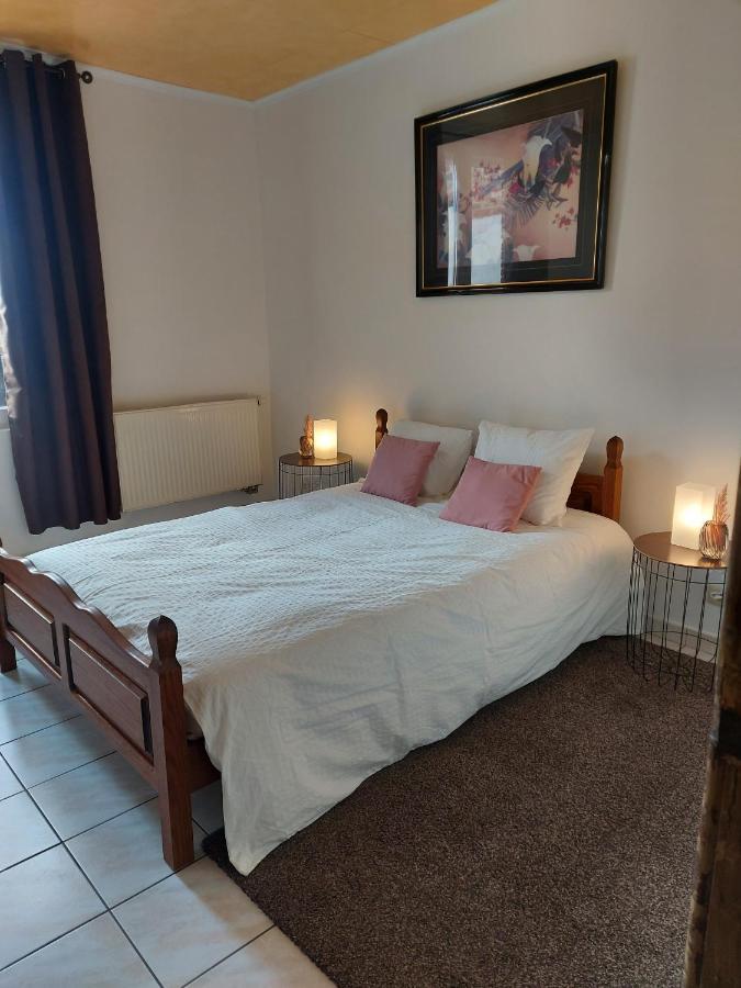 Appartement Rdc Plein Centre Avec Terrasse Vise Luaran gambar