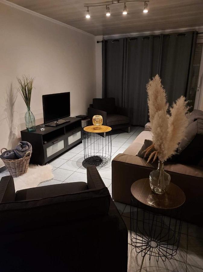 Appartement Rdc Plein Centre Avec Terrasse Vise Luaran gambar